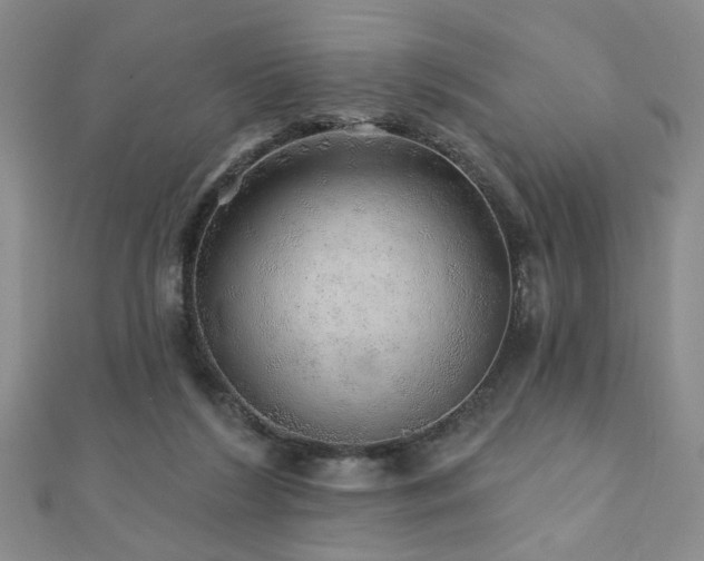 X0000110880212200906181232
