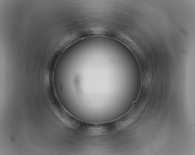 X0000110880213200906181232