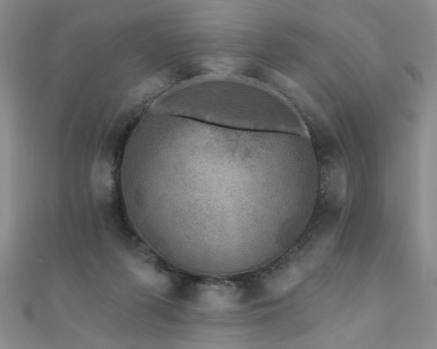 X0000110880215200906181232