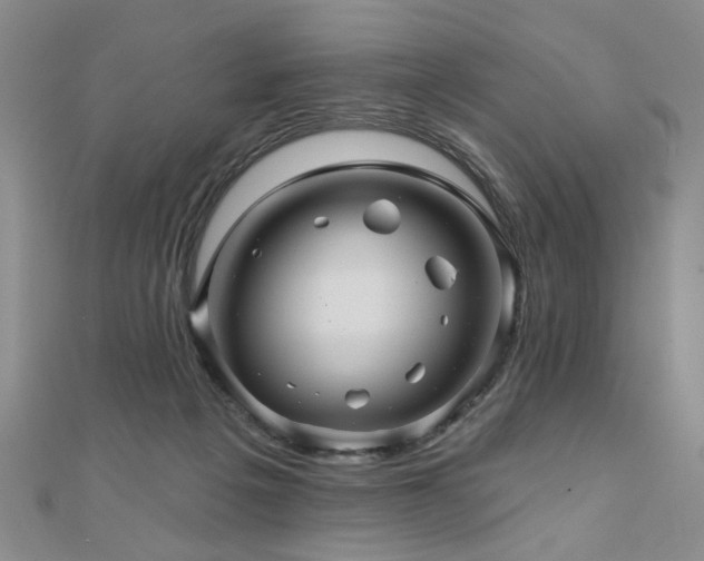X0000110880217200906181232