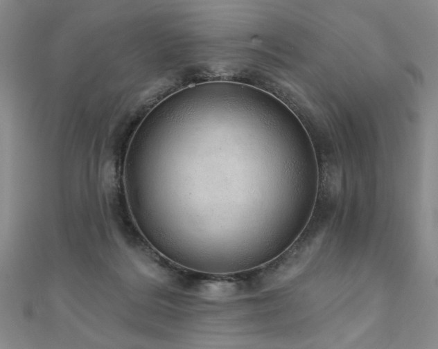X0000110880220200906181232
