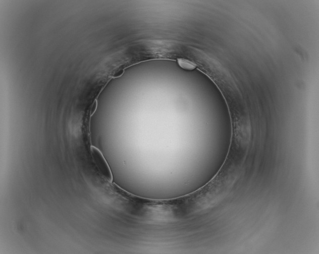 X0000110880221200906181232