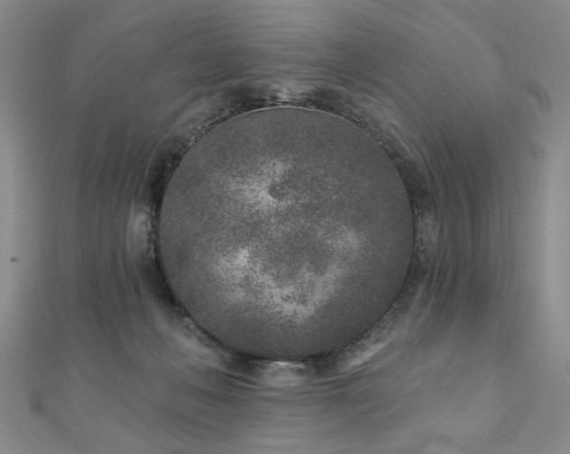 X0000110880222200906181232