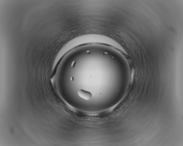 X0000110880223200906181232