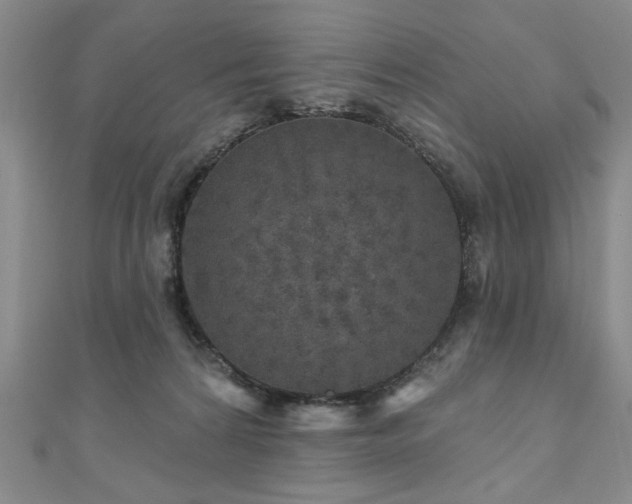 X0000110880224200906181232