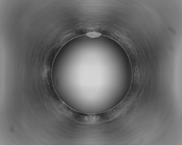 X0000110880225200906181232