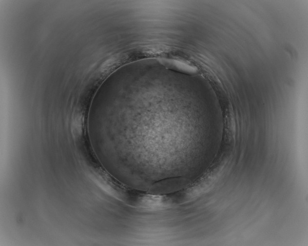 X0000110880227200906181232