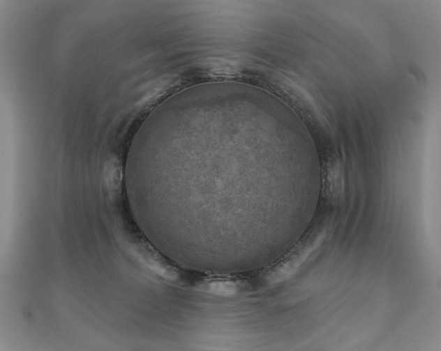 X0000110880228200906181232
