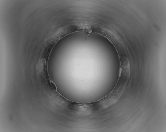 X0000110880229200906181232