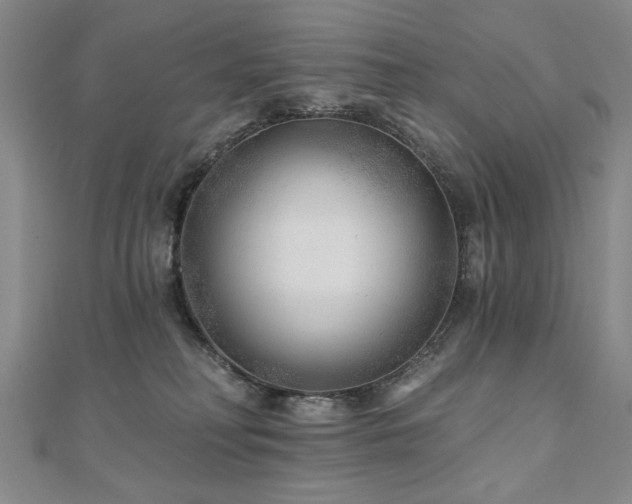 X0000110880230200906181232