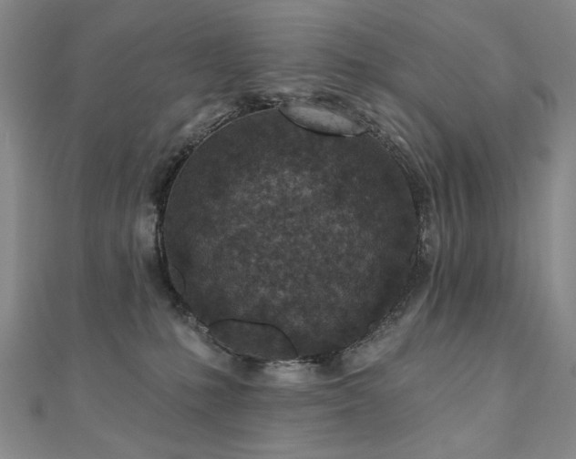 X0000110880231200906181232