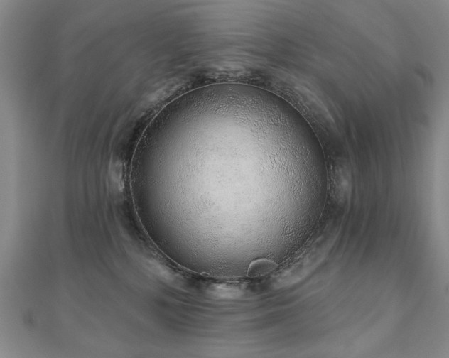 X0000110880232200906181232