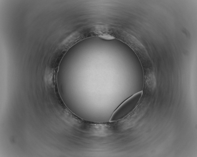 X0000110880233200906181232