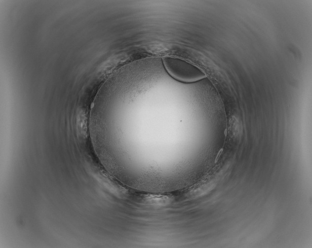 X0000110880234200906181232