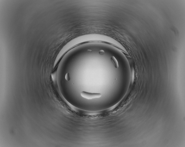 X0000110880235200906181232