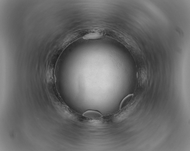 X0000110880236200906181232
