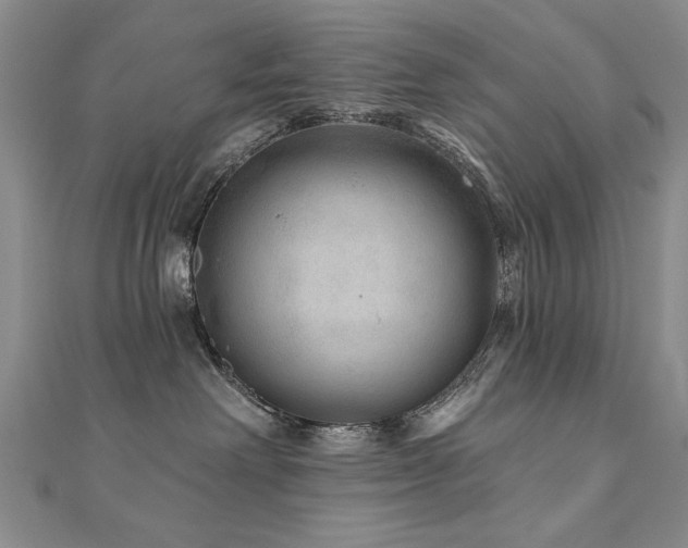 X0000110880238200906181232
