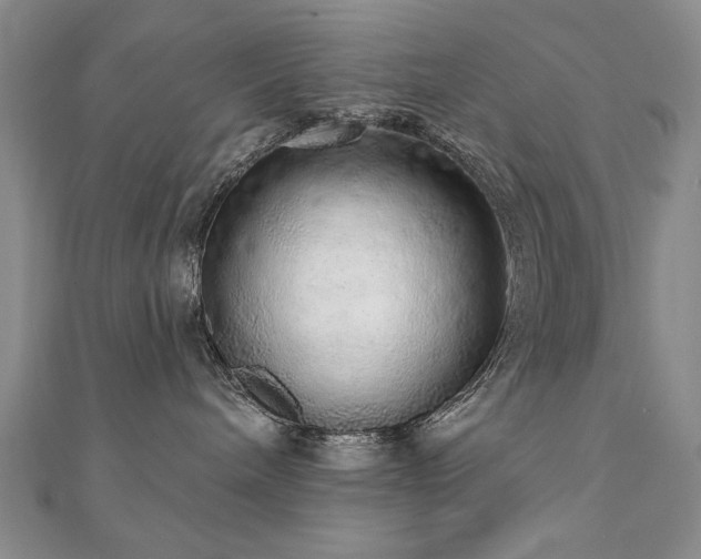 X0000110880240200906181232