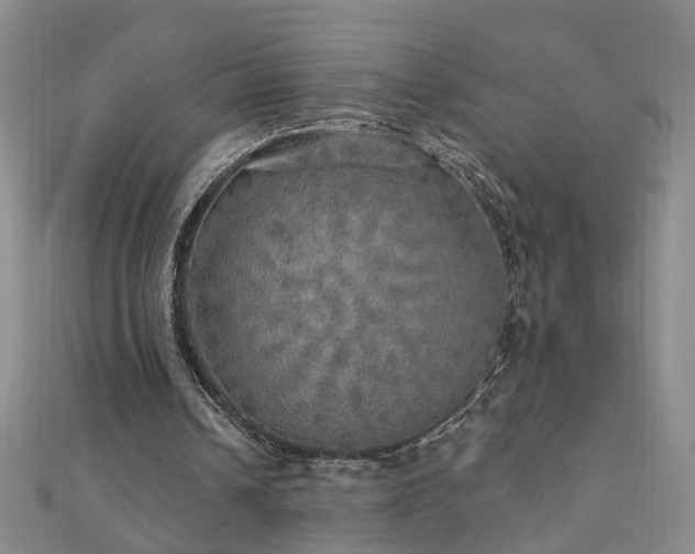 X0000110880242200906181231