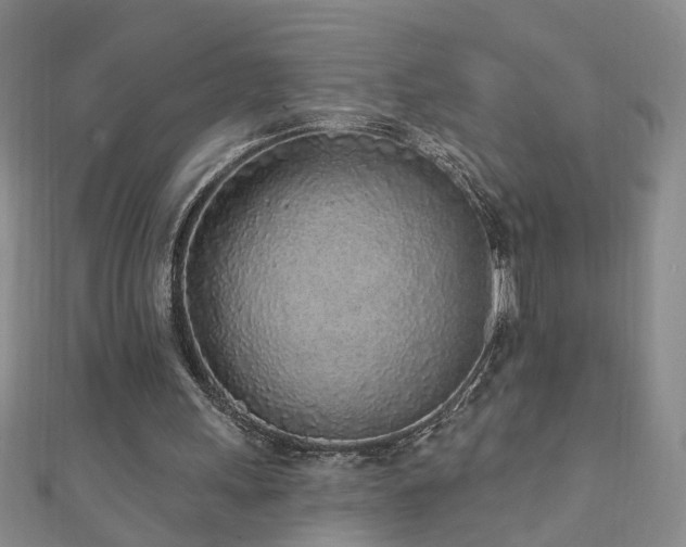 X0000110880243200906181231