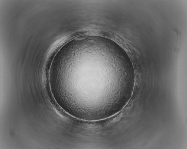 X0000110880245200906181231