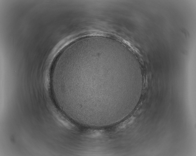X0000110880247200906181231