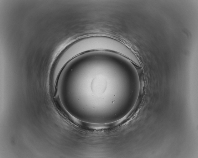 X0000110880248200906181231