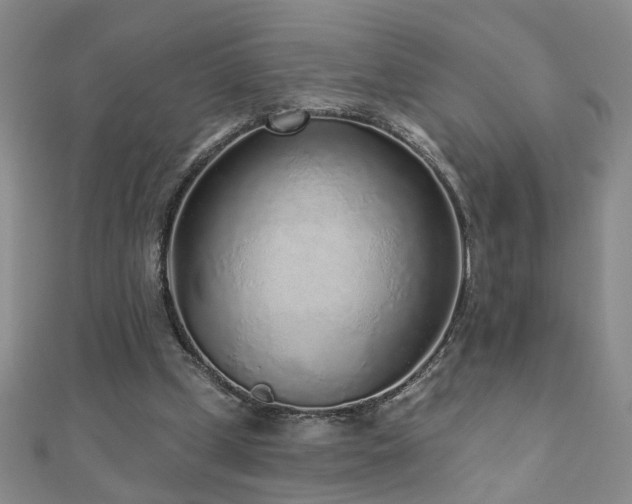 X0000110880249200906181231