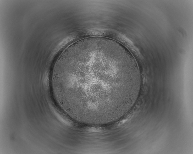 X0000110880250200906181231