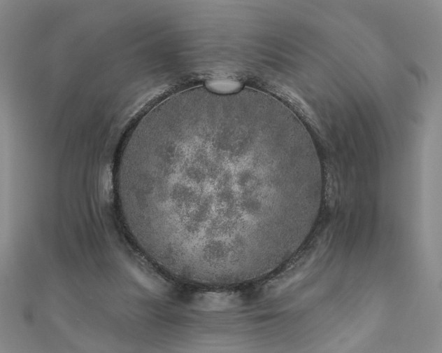 X0000110880251200906181231