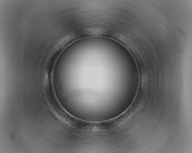 X0000110880254200906181231