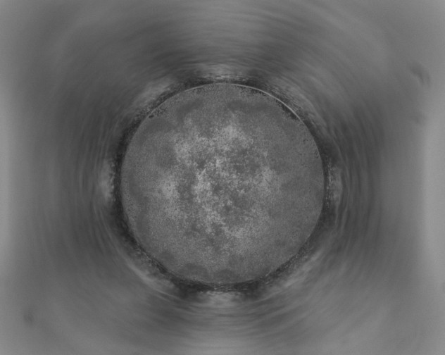 X0000110880255200906181231