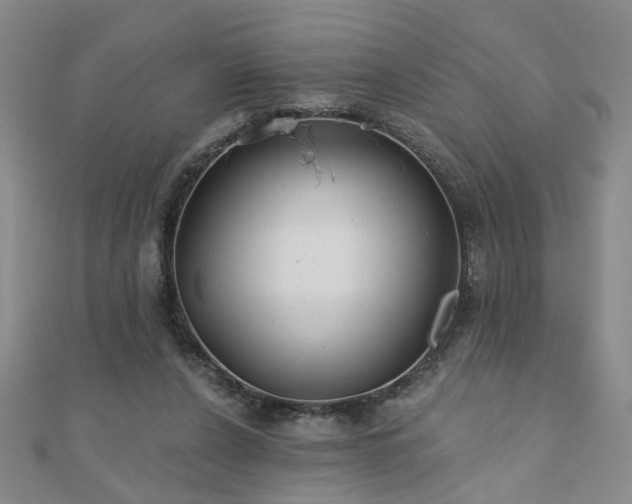 X0000110880256200906181231