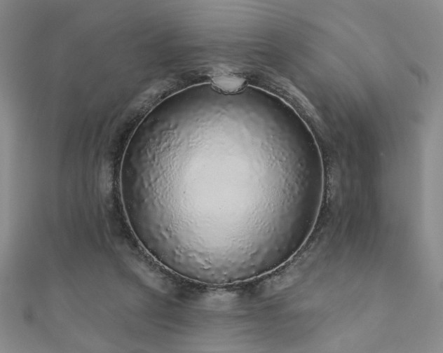 X0000110880257200906181231