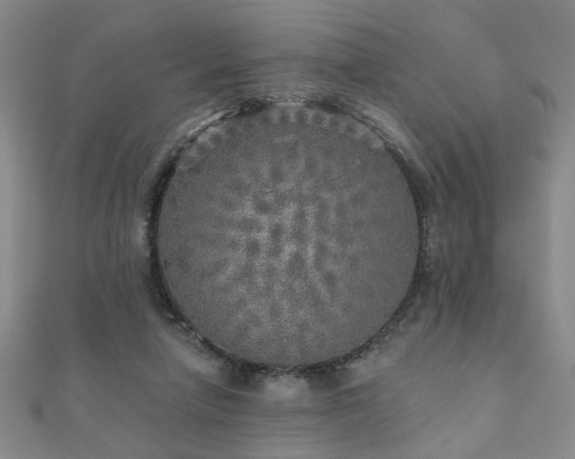 X0000110880258200906181231