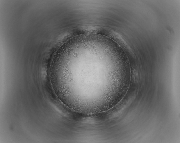 X0000110880259200906181231