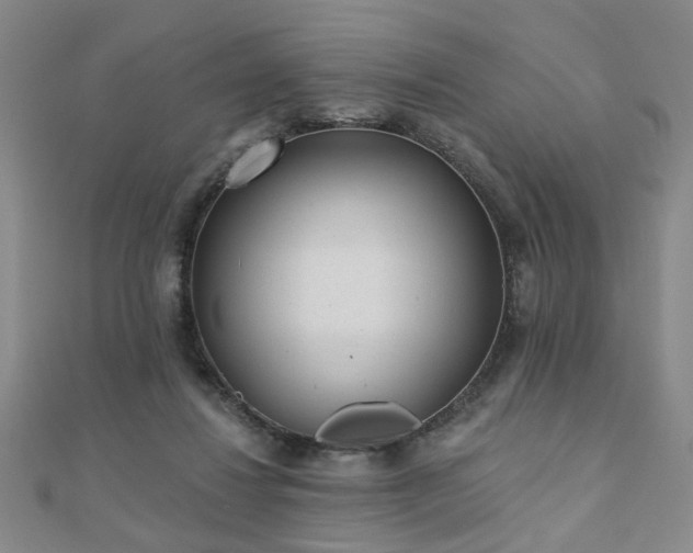 X0000110880260200906181231