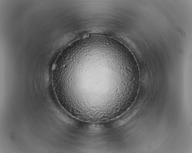 X0000110880261200906181231