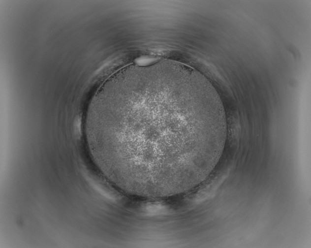 X0000110880262200906181231