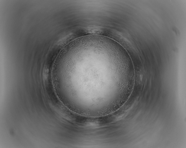 X0000110880263200906181231