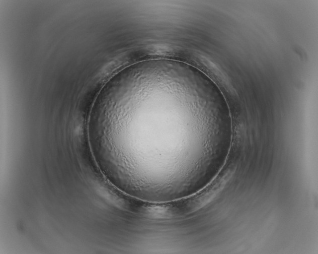 X0000110880265200906181231