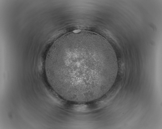 X0000110880266200906181231