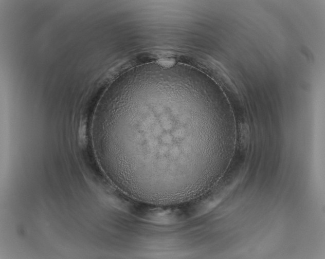 X0000110880267200906181231