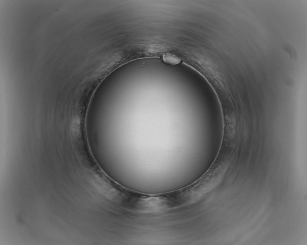 X0000110880269200906181231