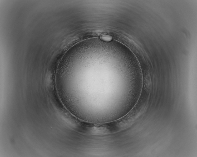 X0000110880270200906181231