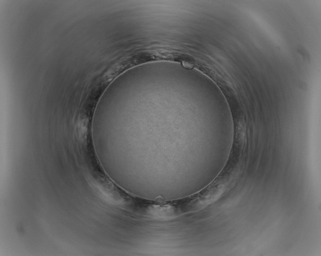 X0000110880271200906181231
