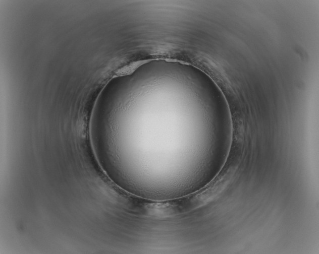 X0000110880273200906181231