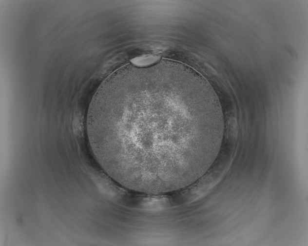 X0000110880274200906181231