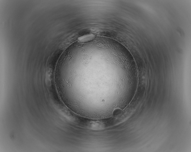X0000110880275200906181231