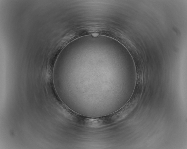 X0000110880277200906181231